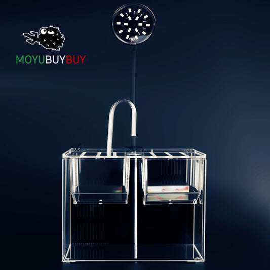 MOYUBUYBUY ACQUARIO DA TAVOLO 01