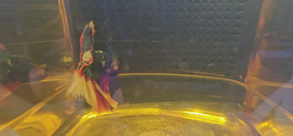 ROSE TAIL BLUE CANDY (OHM)0605