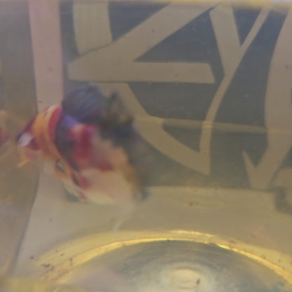 GANDY GALAXY HMPK(THE TAIL IS DAMAGED, BUT CAN RECOVER.)/ 星河糖果HMPK 251269