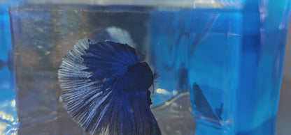 SUPER FULL BLUE HM (M)250960