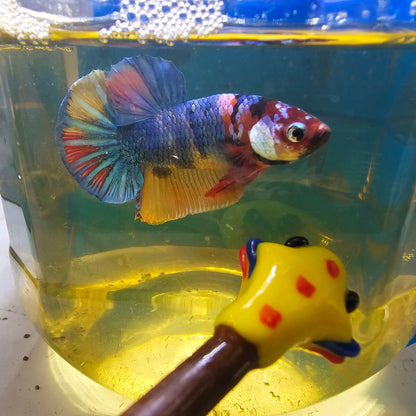 FULL COLOR GALAXY CANDY HMPK/满色星河糖果251128