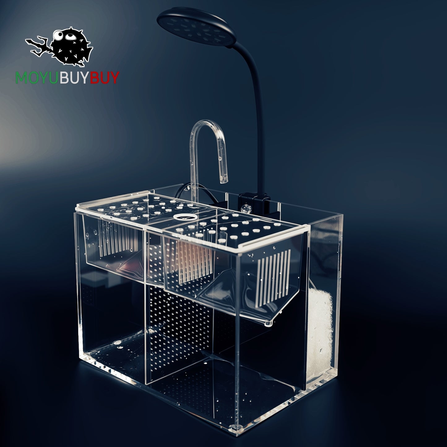 MOYUBUYBUY ACQUARIO DA TAVOLO 01